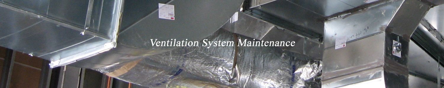 Ventilation system cleaning